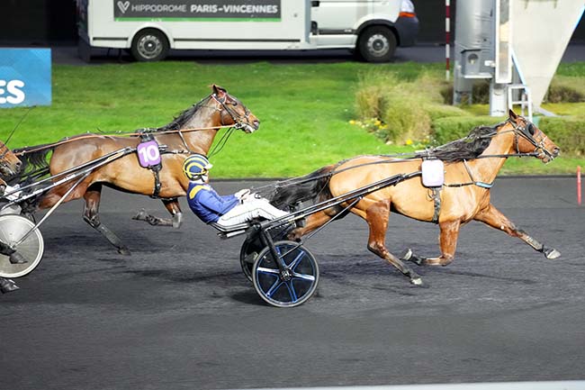 Photo d'arrivée de la course pmu PRIX DE DAMVILLE à PARIS-VINCENNES le Mercredi 1 janvier 2025