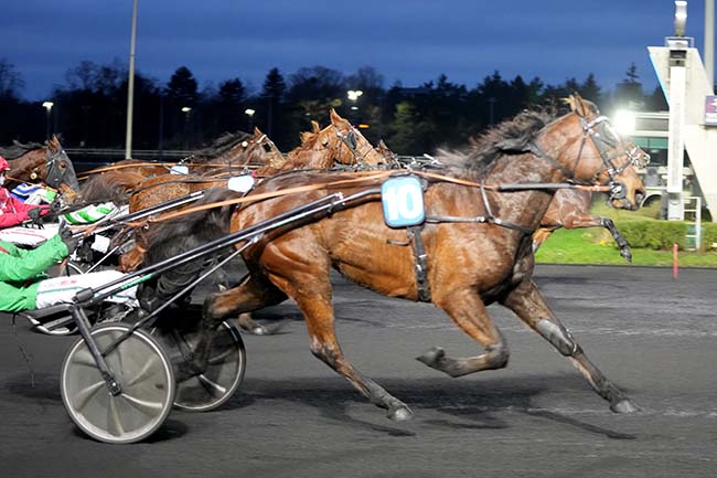 Photo d'arrivée de la course pmu PRIX DU CROISE-LAROCHE à PARIS-VINCENNES le Mercredi 1 janvier 2025