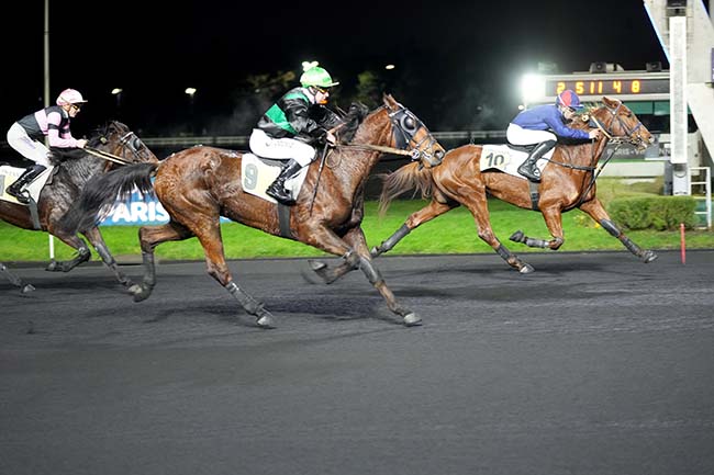 Photo d'arrivée de la course pmu PRIX DE BUZANCAIS à PARIS-VINCENNES le Mercredi 1 janvier 2025