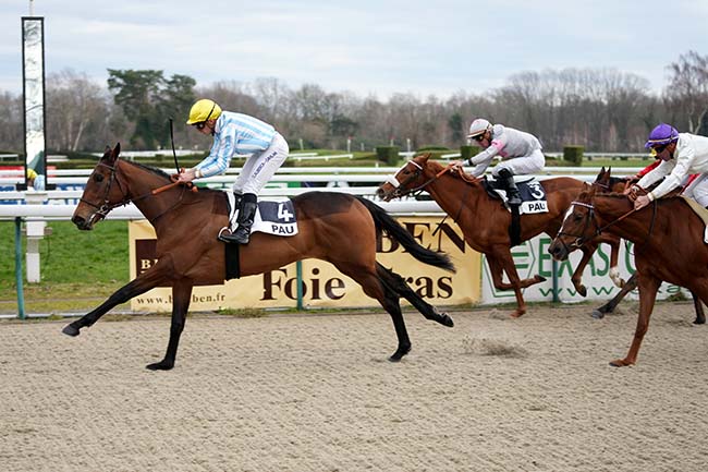 Photo d'arrivée de la course pmu PRIX DE MONTAUT à PAU le Jeudi 2 janvier 2025