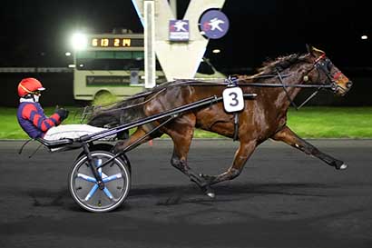 Photo d'arrivée de la course pmu PRIX DE LIMEIL à PARIS-VINCENNES le Vendredi 3 janvier 2025