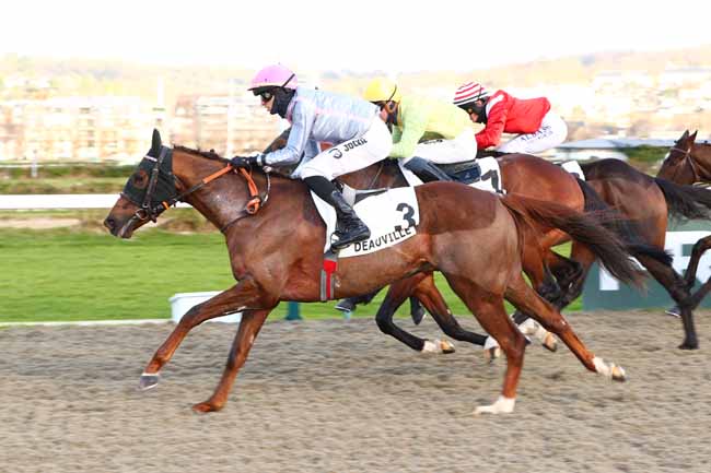 Photo d'arrivée de la course pmu PRIX DES AIGUILLES à DEAUVILLE le Vendredi 3 janvier 2025