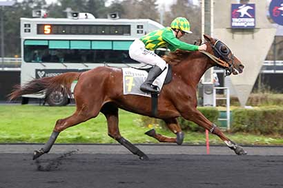 Photo d'arrivée de la course pmu PRIX LEON TACQUET à PARIS-VINCENNES le Samedi 4 janvier 2025