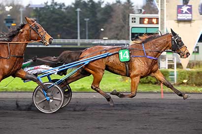 Photo d'arrivée de la course pmu PRIX DE CHATELGUYON à PARIS-VINCENNES le Samedi 4 janvier 2025