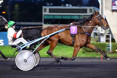 Photo d'arrivée de la course pmu PRIX DE VIC-FEZENSAC à PARIS-VINCENNES le Samedi 4 janvier 2025