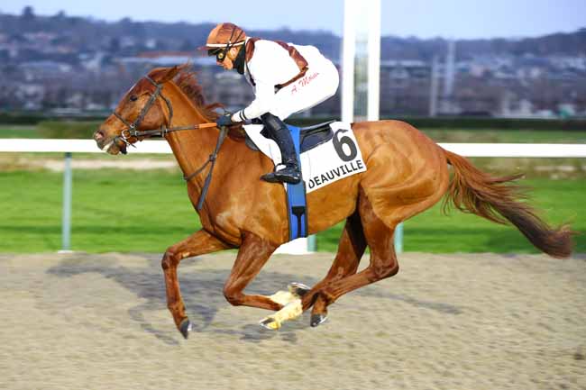 Photo d'arrivée de la course pmu PRIX DE LA BEAUVOISINIERE à DEAUVILLE le Samedi 4 janvier 2025