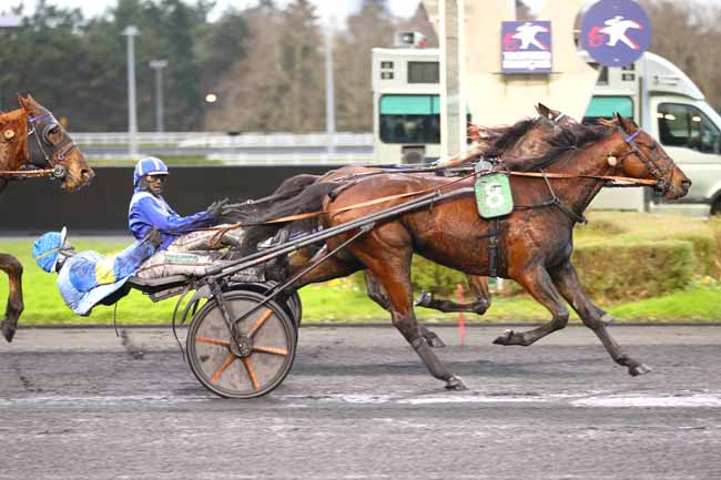 Photo d'arrivée de la course pmu PRIX DE SALON-DE-PROVENCE à PARIS-VINCENNES le Dimanche 5 janvier 2025