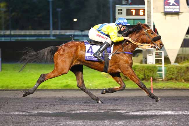 Photo d'arrivée de la course pmu PRIX DU CALVADOS - CORNULIER RACES Q3 à PARIS-VINCENNES le Dimanche 5 janvier 2025