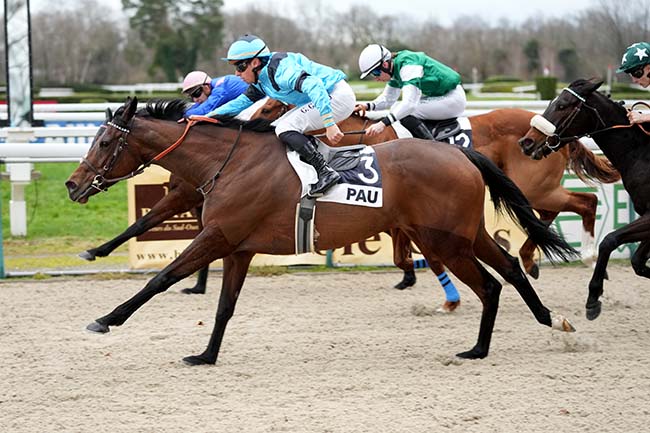 Photo d'arrivée de la course pmu PRIX SOAL RACING (PRIX D'ETSAUT) à PAU le Mercredi 8 janvier 2025