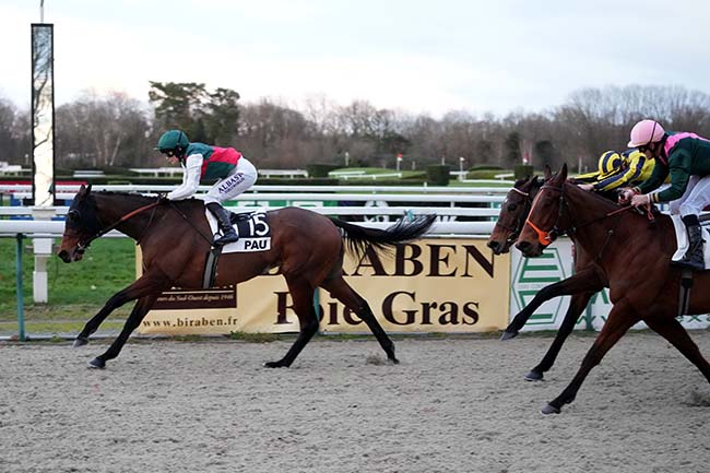 Photo d'arrivée de la course pmu PRIX DE LESCUN à PAU le Mercredi 8 janvier 2025