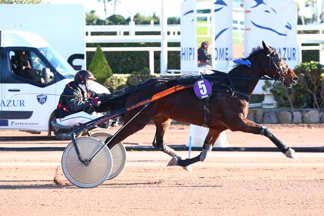 Photo d'arrivée de la course pmu PRIX JUNIOR DU RIB à CAGNES-SUR-MER le Jeudi 9 janvier 2025