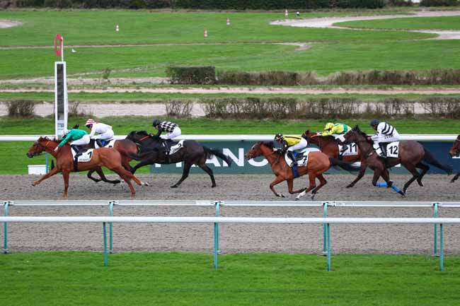 Photo d'arrivée de la course pmu PRIX DE DOUVILLE à DEAUVILLE le Vendredi 10 janvier 2025