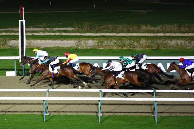 Photo d'arrivée de la course pmu PRIX DE LA GARE DE POINTE-NOIRE à DEAUVILLE le Vendredi 10 janvier 2025