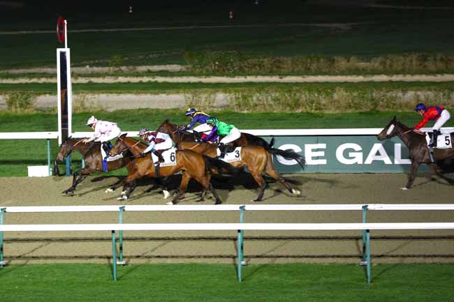 Photo d'arrivée de la course pmu PRIX D'HASPEL à DEAUVILLE le Vendredi 10 janvier 2025