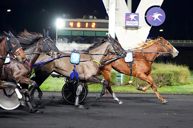 Photo d'arrivée de la course pmu PRIX DE GUERLESQUIN à PARIS-VINCENNES le Vendredi 10 janvier 2025