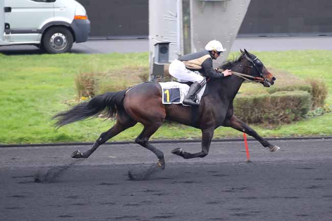 Photo d'arrivée de la course pmu PRIX DE SARTILLY à PARIS-VINCENNES le Samedi 11 janvier 2025