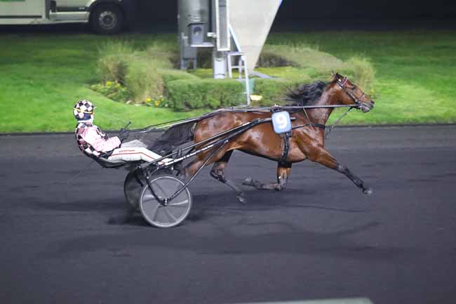 Photo d'arrivée de la course pmu PRIX BELLINO II à PARIS-VINCENNES le Samedi 11 janvier 2025