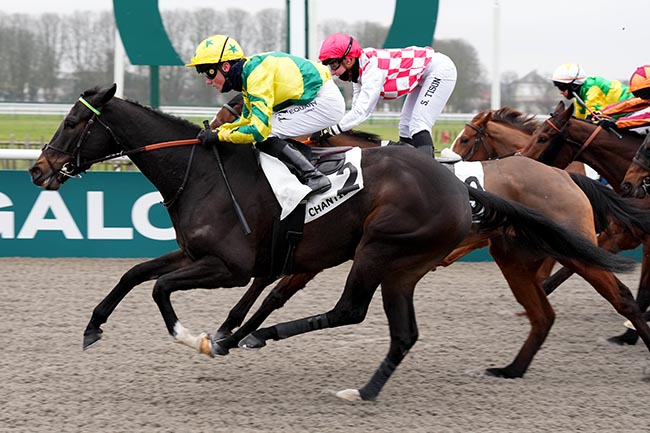 Photo d'arrivée de la course pmu PRIX DE LA ROUTE DE CHARLEPONT à CHANTILLY le Samedi 11 janvier 2025