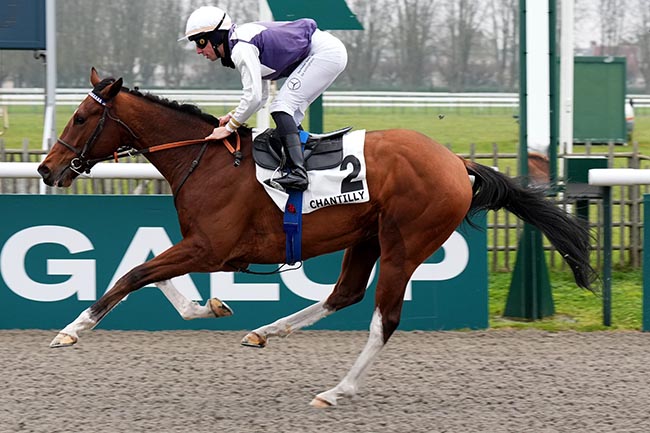 Photo d'arrivée de la course pmu PRIX DU BOIS DE PRECY à CHANTILLY le Samedi 11 janvier 2025