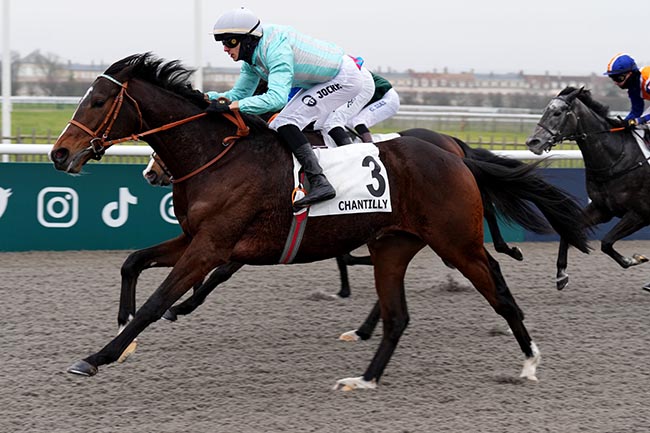 Photo d'arrivée de la course pmu PRIX DE LA ROUTE DES FERMETTES à CHANTILLY le Samedi 11 janvier 2025