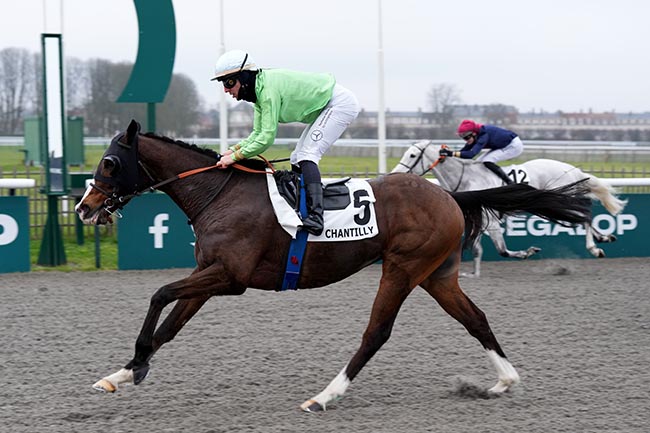 Photo d'arrivée de la course pmu PRIX DU CHEMIN DE PARIS à CHANTILLY le Samedi 11 janvier 2025