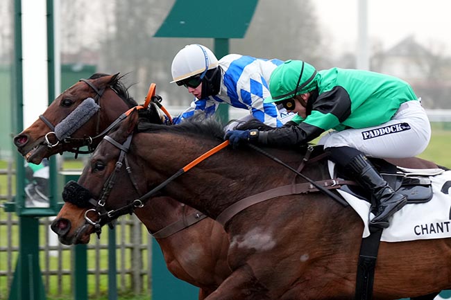 Photo d'arrivée de la course pmu PRIX DU CHEMIN ROYAL à CHANTILLY le Samedi 11 janvier 2025