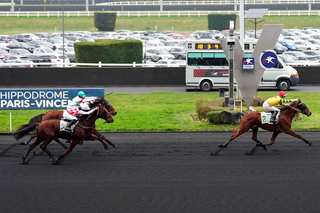 Photo d'arrivée de la course pmu PRIX DJERID à PARIS-VINCENNES le Dimanche 12 janvier 2025