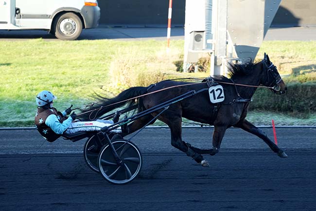 Photo d'arrivée de la course pmu PRIX D'ABLEIGES à PARIS-VINCENNES le Mardi 14 janvier 2025