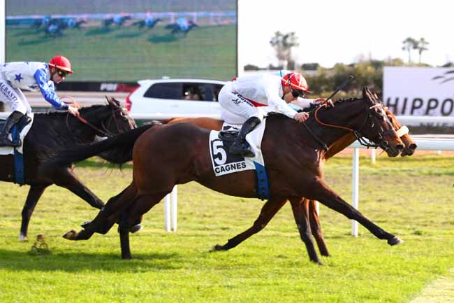 Photo d'arrivée de la course pmu PRIX ROBERT VILLENEUVE-BARGEMON à CAGNES-SUR-MER le Mercredi 15 janvier 2025