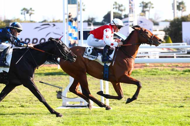 Photo d'arrivée de la course pmu PRIX DES ILES DU FRIOUL à CAGNES-SUR-MER le Mercredi 15 janvier 2025