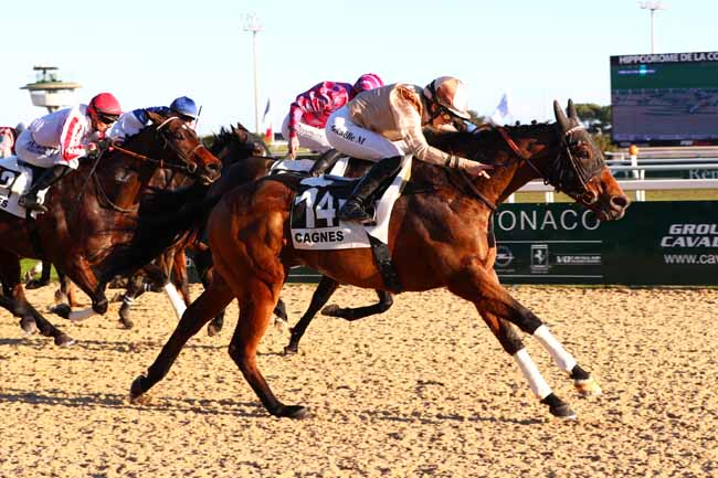 Photo d'arrivée de la course pmu PRIX DU VAL BORRIGO à CAGNES-SUR-MER le Mercredi 15 janvier 2025