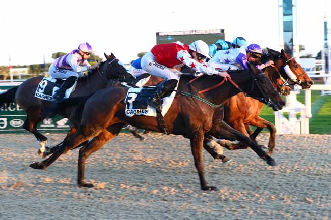 Photo d'arrivée de la course pmu PRIX DE LA CROISETTE à CAGNES-SUR-MER le Mercredi 15 janvier 2025