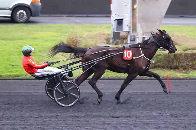 Photo d'arrivée de la course pmu PRIX JEAN-PIERRE REYNALDO à PARIS-VINCENNES le Jeudi 16 janvier 2025