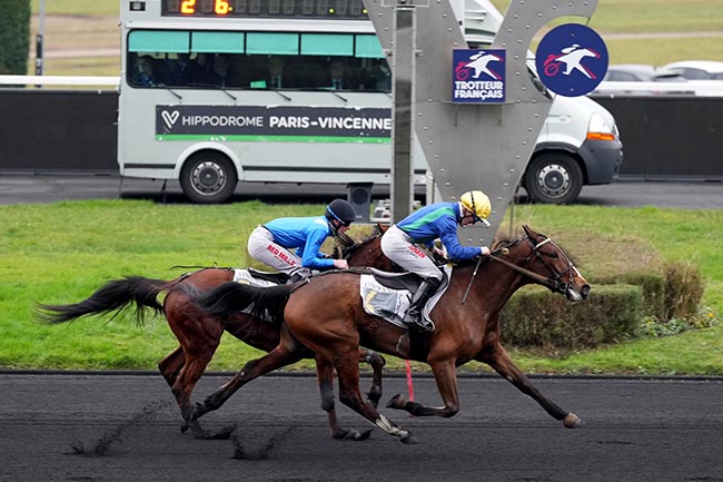 Photo d'arrivée de la course pmu PRIX DE PARDIEU à PARIS-VINCENNES le Samedi 18 janvier 2025