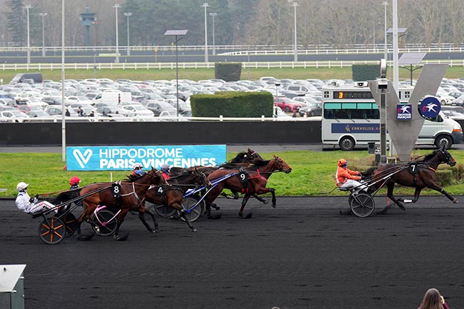 Photo d'arrivée de la course pmu PRIX DE LA FERTE MACE à PARIS-VINCENNES le Dimanche 19 janvier 2025