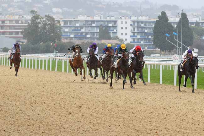 Photo d'arrivée de la course pmu PRIX ACE IMPACT à CAGNES-SUR-MER le Lundi 20 janvier 2025