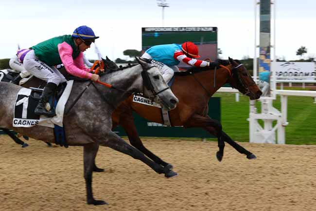 Photo d'arrivée de la course pmu PRIX DES ORANGERS à CAGNES-SUR-MER le Lundi 20 janvier 2025