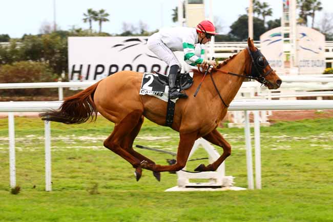 Photo d'arrivée de la course pmu PRIX CHARLES GASTAUD à CAGNES-SUR-MER le Lundi 20 janvier 2025