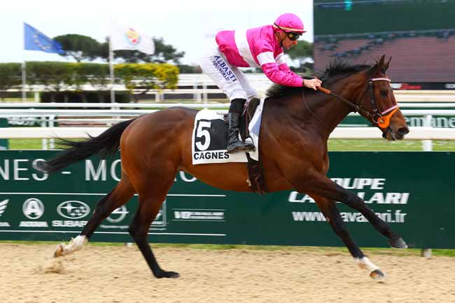 Photo d'arrivée de la course pmu PRIX CHERET à CAGNES-SUR-MER le Lundi 20 janvier 2025