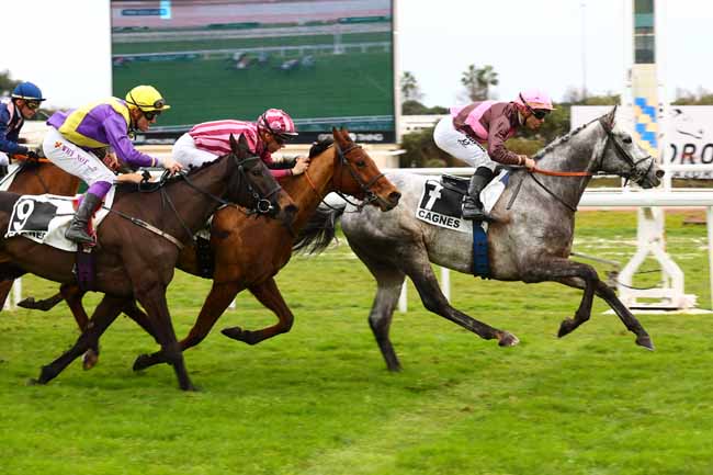 Photo d'arrivée de la course pmu PRIX DES LACS à CAGNES-SUR-MER le Lundi 20 janvier 2025