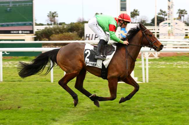 Photo d'arrivée de la course pmu PRIX DE CAUSSOLS à CAGNES-SUR-MER le Lundi 20 janvier 2025