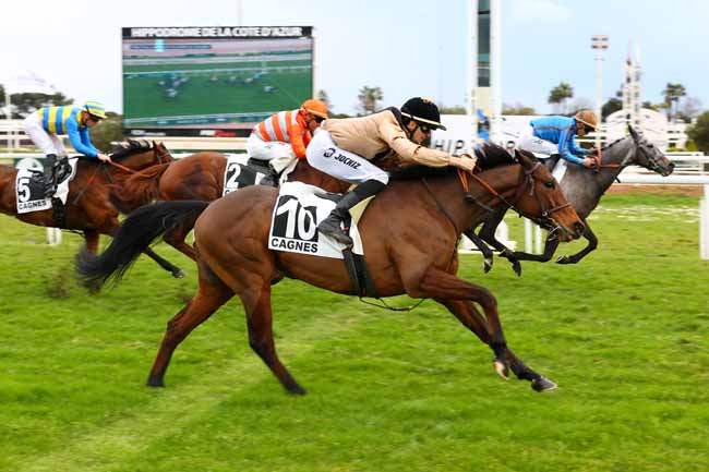 Photo d'arrivée de la course pmu PRIX PAUL-ANTOINE PULVENIS DE SELIGNY à CAGNES-SUR-MER le Lundi 20 janvier 2025