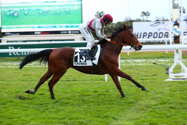 Photo d'arrivée de la course pmu PRIX DU COL DE VENCE à CAGNES-SUR-MER le Lundi 20 janvier 2025