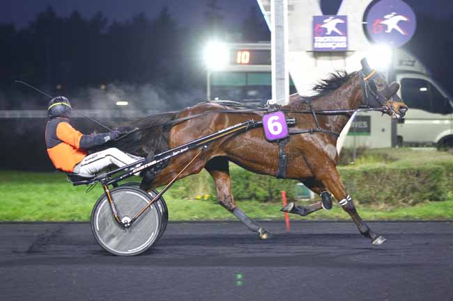 Photo d'arrivée de la course pmu PRIX DU LION-D'ANGERS à PARIS-VINCENNES le Lundi 20 janvier 2025