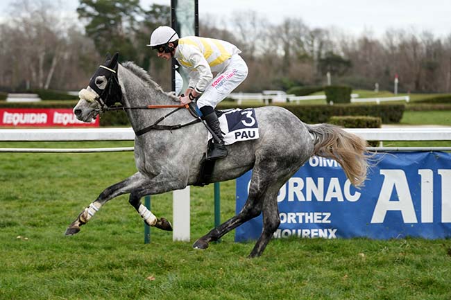 Photo d'arrivée de la course pmu PRIX JEAN GRANEL à PAU le Mardi 21 janvier 2025