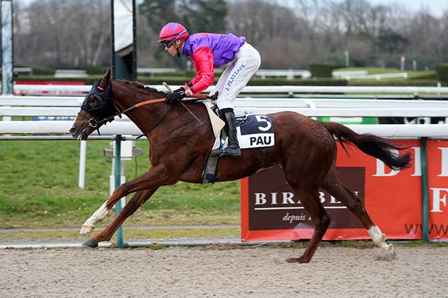 Photo d'arrivée de la course pmu PRIX D'ARCANGUES à PAU le Mardi 21 janvier 2025