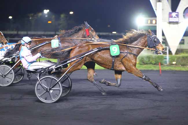 Photo d'arrivée de la course pmu PRIX DE POUANCE à PARIS-VINCENNES le Mardi 21 janvier 2025