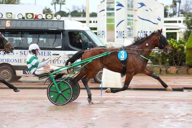 Photo d'arrivée de la course pmu PRIX TIGRE ROYAL à CAGNES-SUR-MER le Mercredi 22 janvier 2025