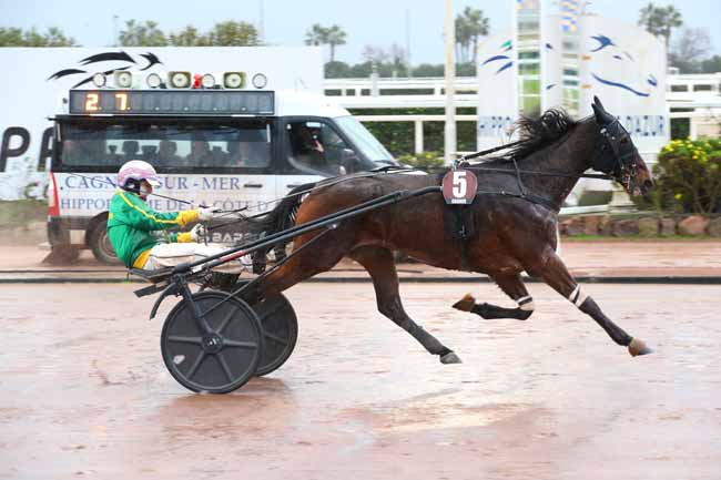 Photo d'arrivée de la course pmu PRIX HENRI ESTABLE à CAGNES-SUR-MER le Mercredi 22 janvier 2025