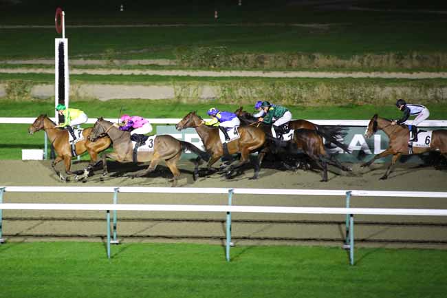 Photo d'arrivée de la course pmu PRIX CLAUDE LEPONNER à DEAUVILLE le Jeudi 23 janvier 2025